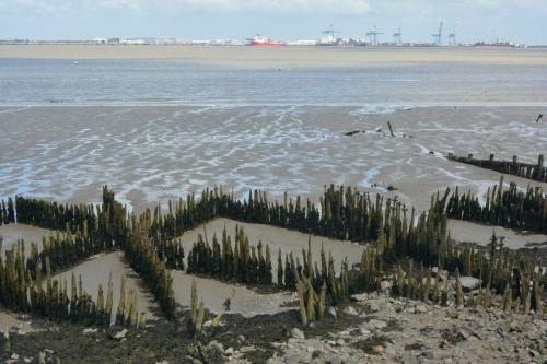 Estuaire de la Loire