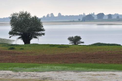 Vue sur le lac depuis le port de Nuisement
