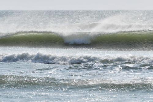 Skeleton coast