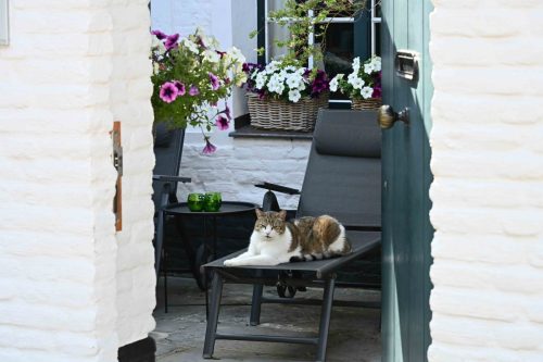 Le sphinx - Courtrai (Belgique)