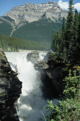 Chutes de l'Athabasca