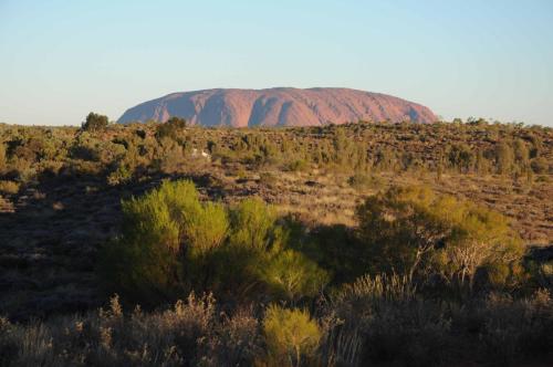 Notre première vision de Ayers Rock (Uluru en langue aborigène locale et ainsi renommé depuis que le gouvernement australien a retrocédé les terres en 1985 aux aborigènes). 