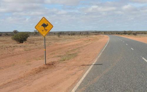 Des petits malins se sont amusés à ajouter au kangourou, un skateboard, un chapeau et une queue zébrée 