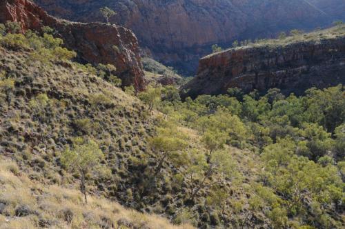 Gorge de Ormiston dans le parc national de West MacDonnell