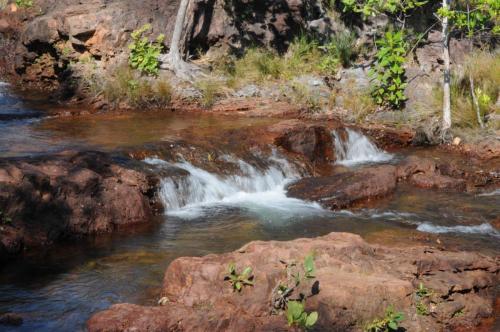 Florence creek dans le parc national de Litchfield