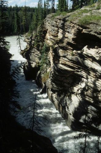 Chutes de l'Athabasca