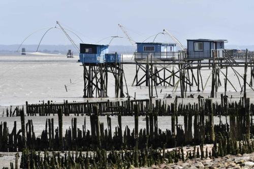 Estuaire de la Loire