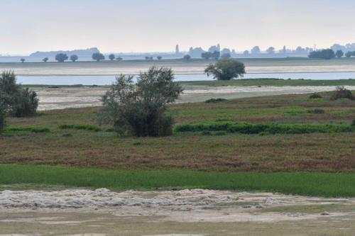 Vue sur le lac depuis le port de Nuisement