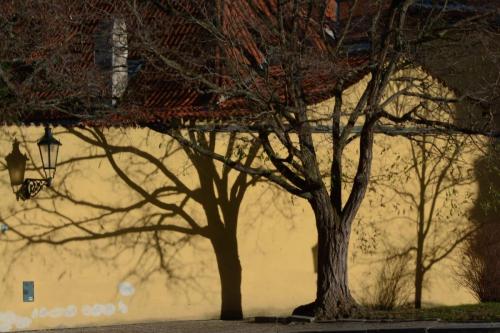 Place Notre Dame de Lorette