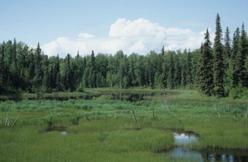 Route entre Anchorage et Denali