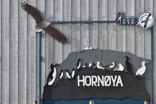 Nous venons de réserver le bâteau pour aller sur l'île d'Hornoya demain.