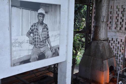 Albert Philippeau, coupeur de cannes de 1951-1980