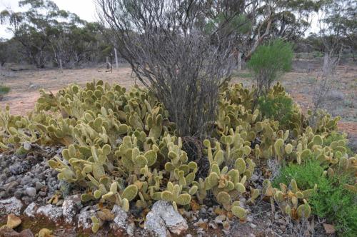 Site de l'ancienne ferme de Gluepot
