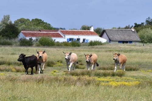 Marais Port la Roche