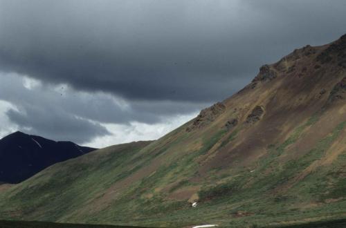 Parc national de Denali