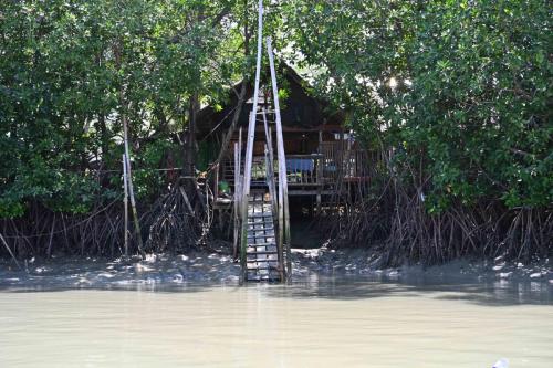 Retour à la maison de Mr Daeng