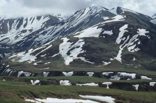 Parc national de Denali