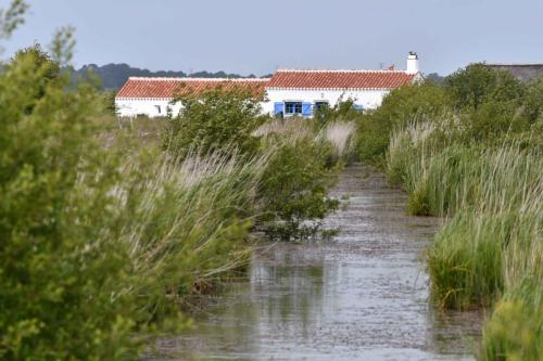 Marais Port la Roche