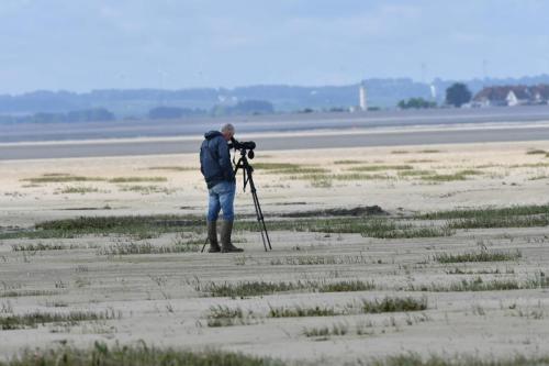 Baie de somme