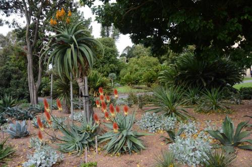Jardin botanique de Adelaide
