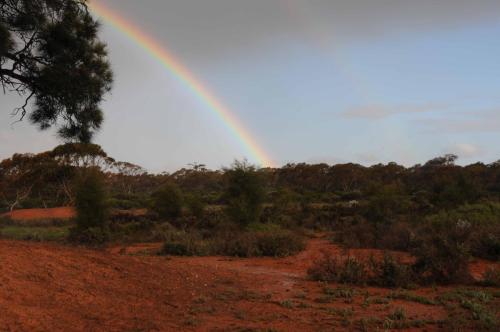 Un des nombreux arc-en-ciel de la journée, les averses se succédant