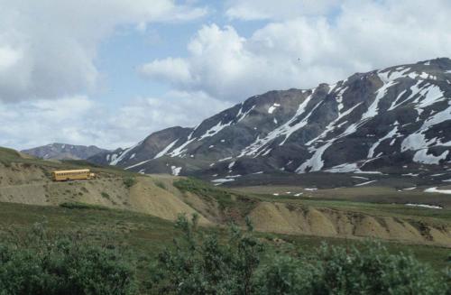 Parc national de Denali
