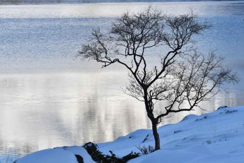 Randonnée au bord d'un fjord près de Laukvik
