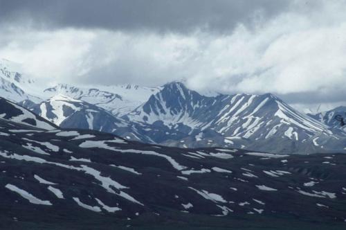 Parc national de Denali