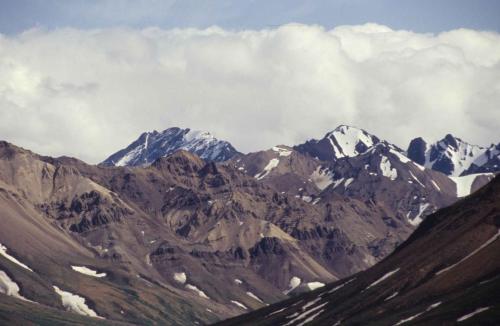 Parc national de Denali