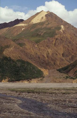 Parc national de Denali