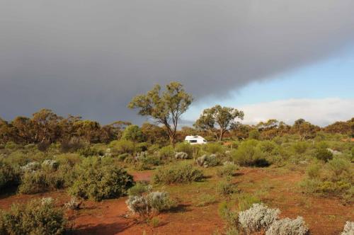 Après une averse...