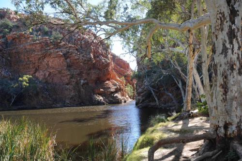 Parc national de West MacDonnell - Ellery creek big hole
