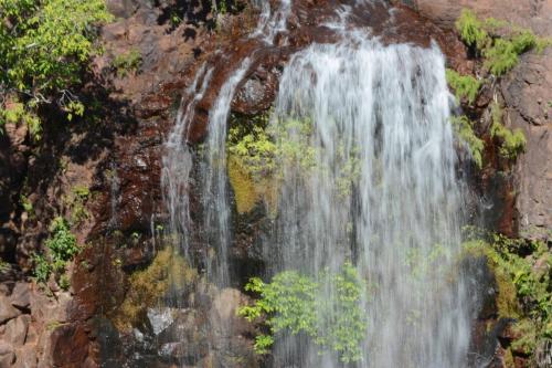 Florence falls dans le parc national de Litchfield