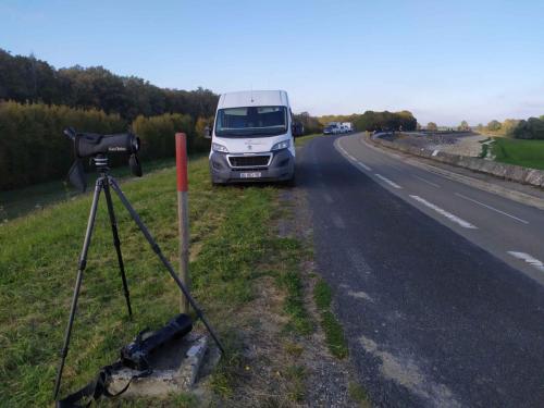 Sur la digue au niveau de la zone de quiétude pernanente
