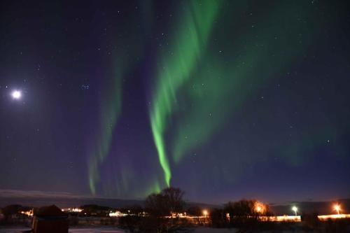 Aurores boréales au dessus de Laukvik