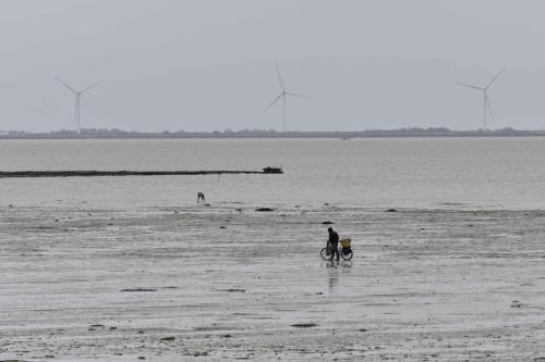Pêche de loisir au nord du Gois