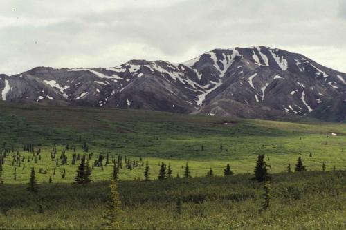 Parc national de Denali