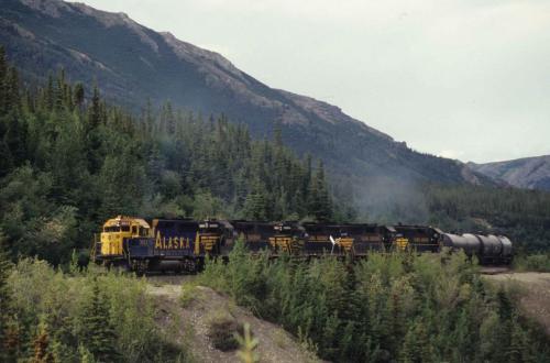 Parc national de Denali