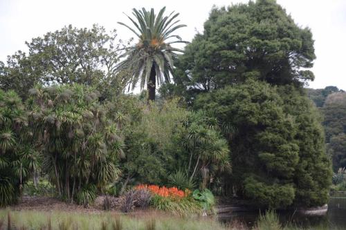 Jardin botanique royal
