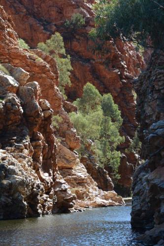 Parc national de West MacDonnell - Ellery creek big hole