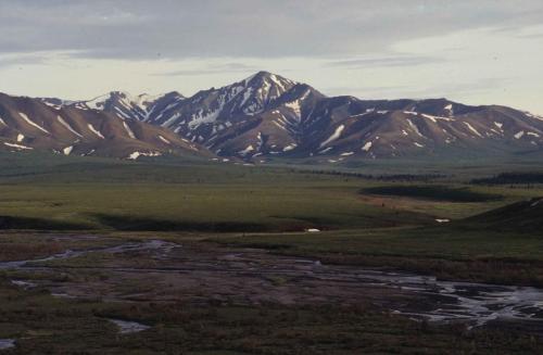 Parc national de Denali