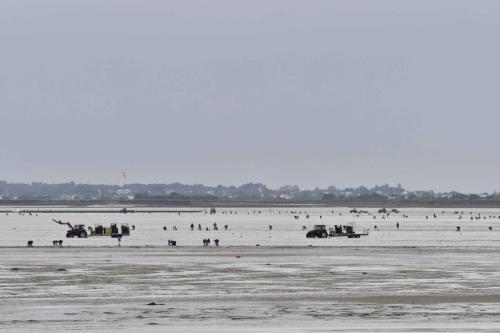 Ostréiculteurs et pêcheurs de loisirs
