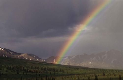 Parc national de Denali