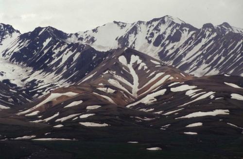 Parc national de Denali