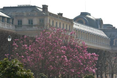 Palais-Royal