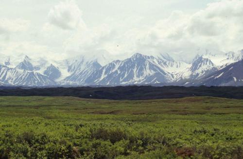 Parc national de Denali