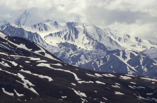 Parc national de Denali