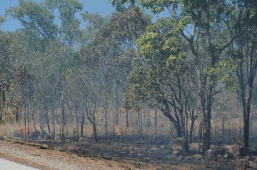 Les rangers du parc de Kakadu procèdent à des feux controlés afin d'éliminer les broussailles en bord de route, et ainsi éviter des feux non controlés 