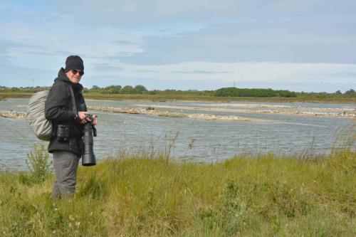 Réserve naturelle du Polder de Sébastopol (Noirmoutier)