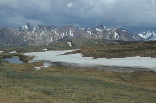 Parc national de Denali